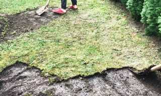 Снятие дерна старого газона в Нововоронеже – от 516 руб. | 2Землекопа-Нвв